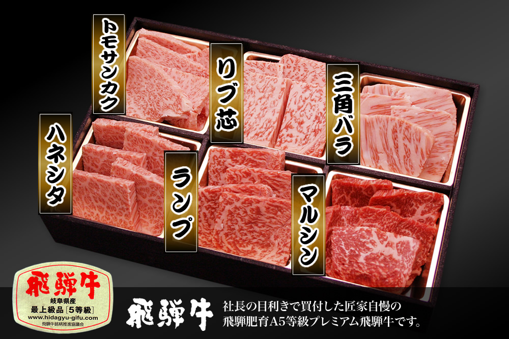 飛騨牛5等級 稀少部位6種盛≪焼肉用≫600g入
